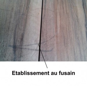 etablissements_au_fusain