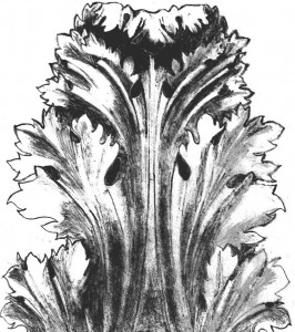 dessin de feuille d'acanthe