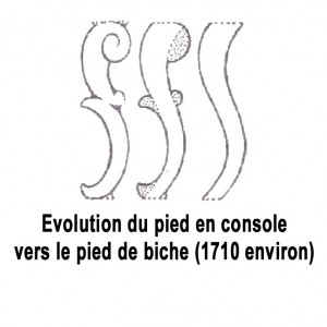 evolution_du_pied_de_biche