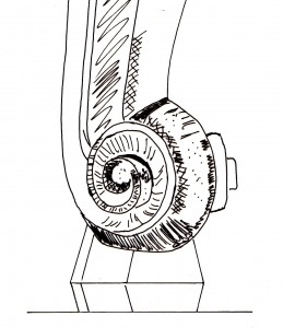 pied_volute_dessin